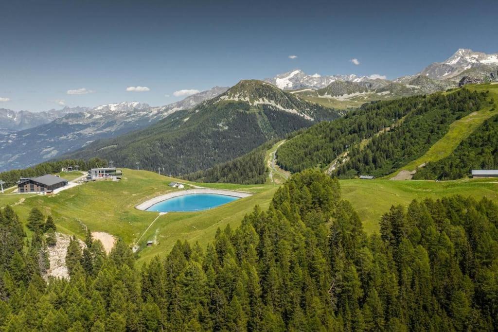 Chalet La Plagne Montalbert Pied Des Pistes Eksteriør billede